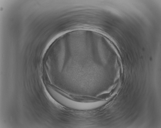 X0000084571531200703091758