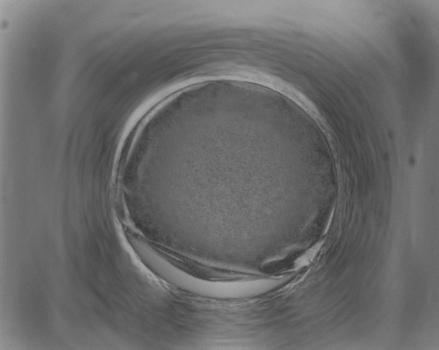 X0000084571536200703091758