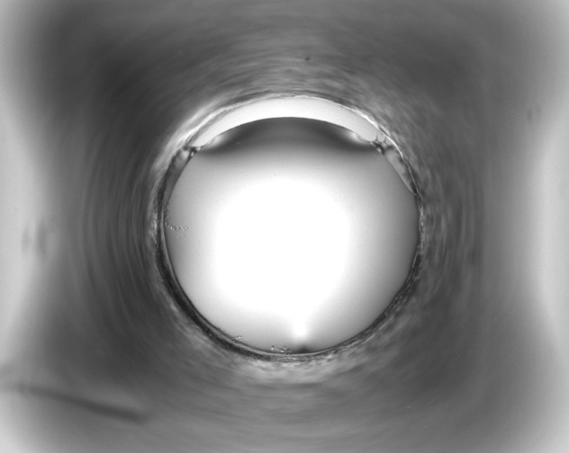 X0000084570005200703161731