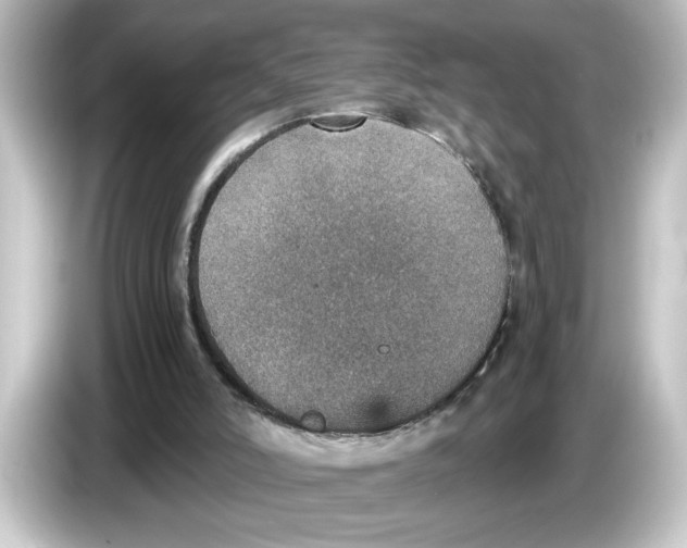 X0000084570006200703161731