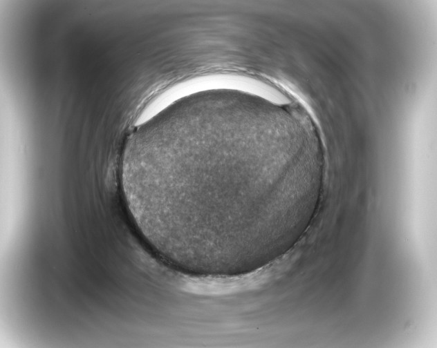 X0000084570009200703161731