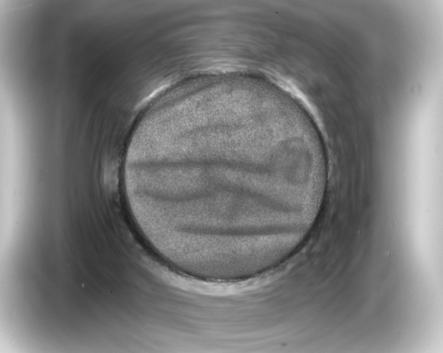 X0000084570010200703161731