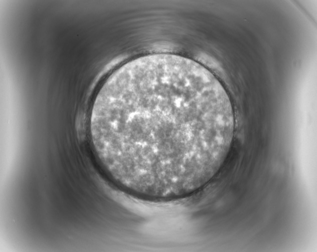 X0000084570012200703161731