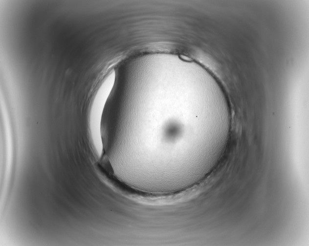 X0000084570013200703161731