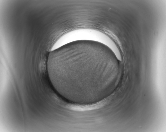 X0000084570017200703161731