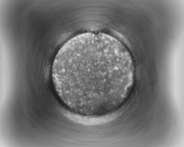 X0000084570018200703161731