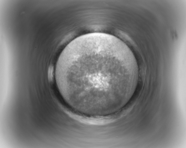 X0000084570024200703161731