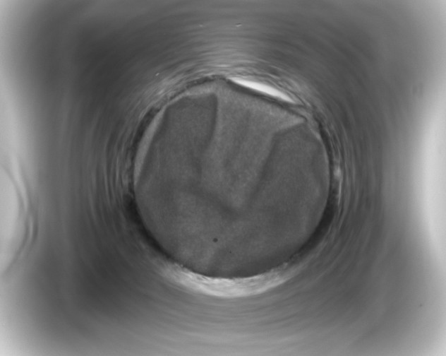 X0000084570030200703161730