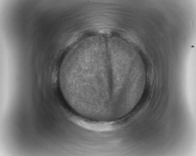 X0000084570032200703161730