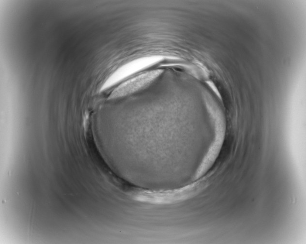 X0000084570033200703161730