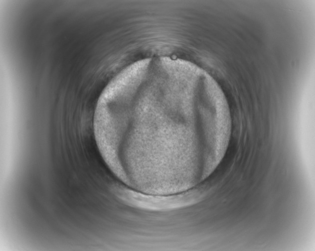 X0000084570034200703161730