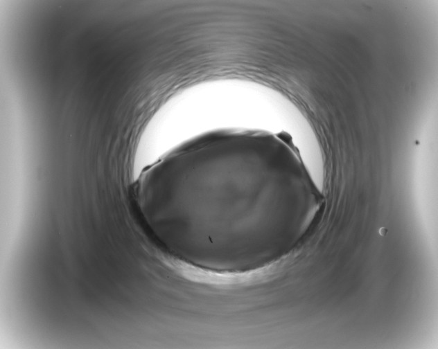 X0000084570039200703161730