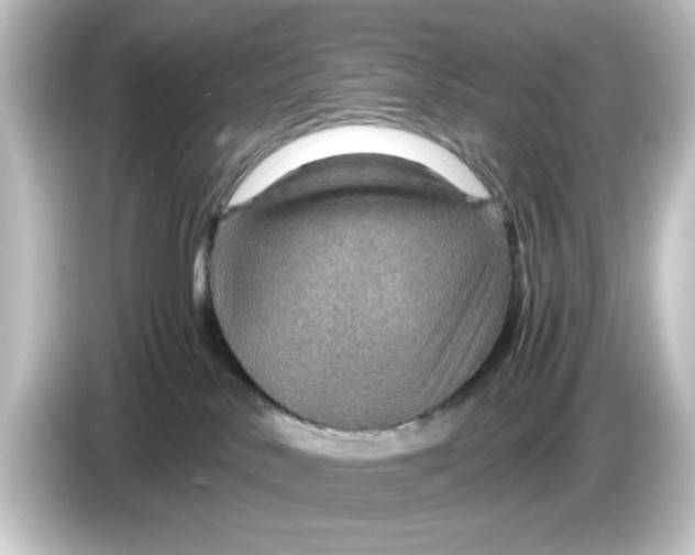 X0000084570042200703161730