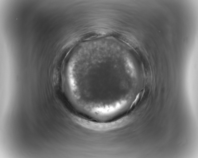 X0000084570043200703161730