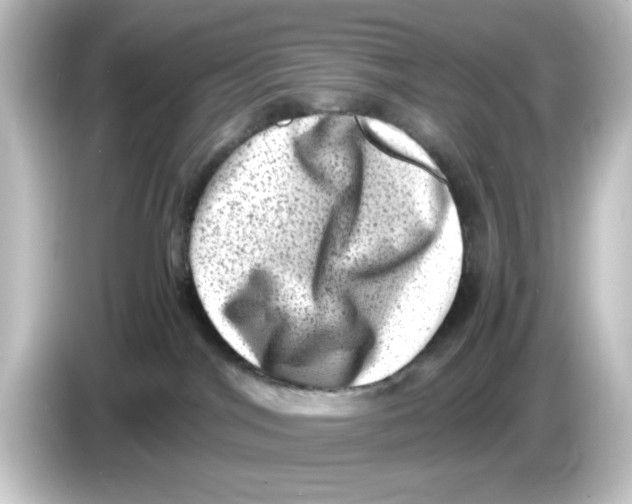 X0000084570044200703161730