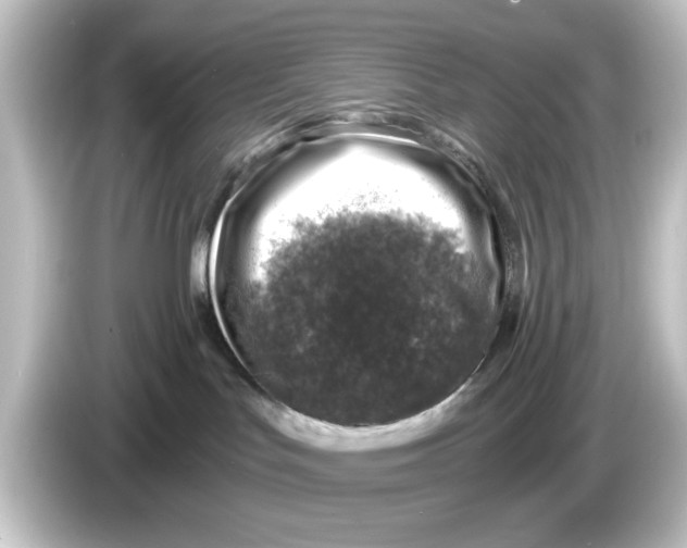 X0000084570047200703161730