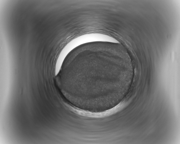 X0000084570048200703161730