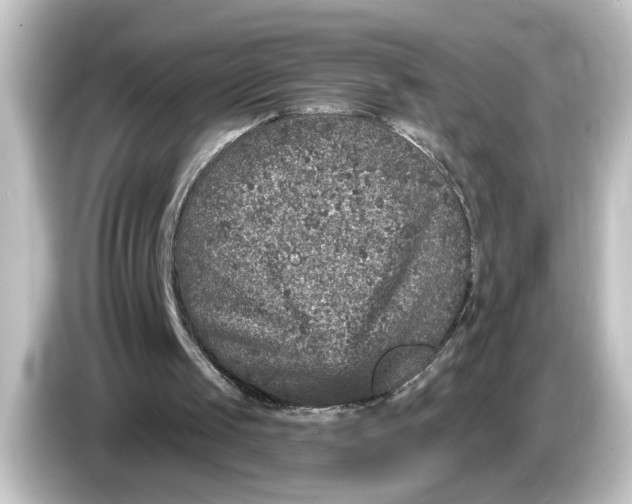 X0000084570049200703161730