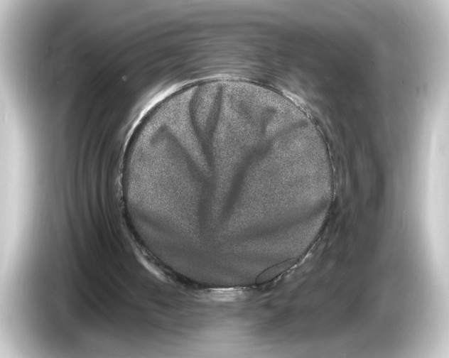 X0000084570050200703161730