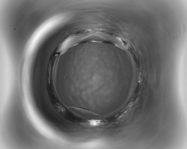 X0000084570052200703161730
