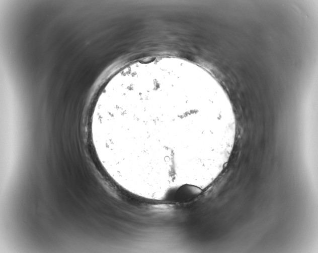 X0000084570053200703161730