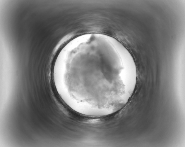 X0000084570054200703161730