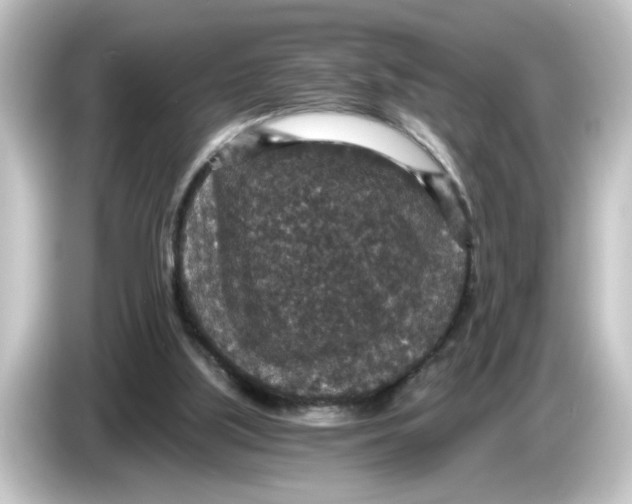 X0000084570059200703161730