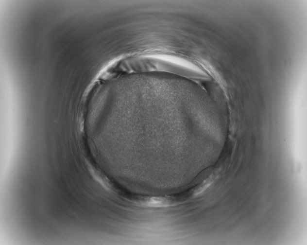 X0000084570060200703161730