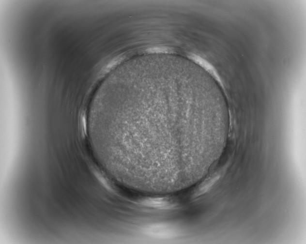 X0000084570061200703161730