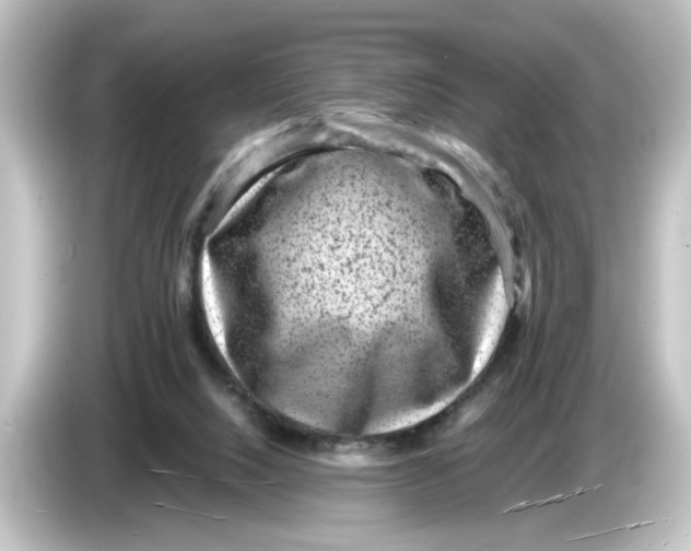 X0000084570064200703161730