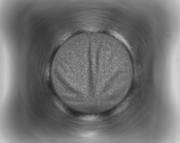 X0000084570065200703161730