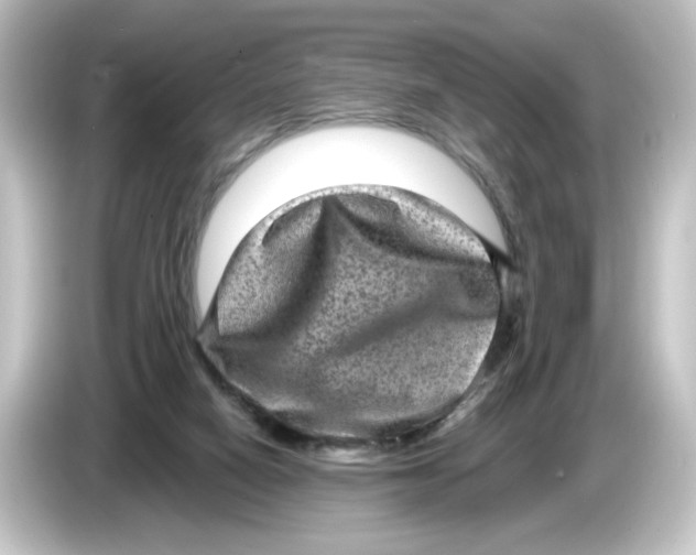 X0000084570066200703161730