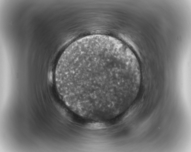 X0000084570067200703161730