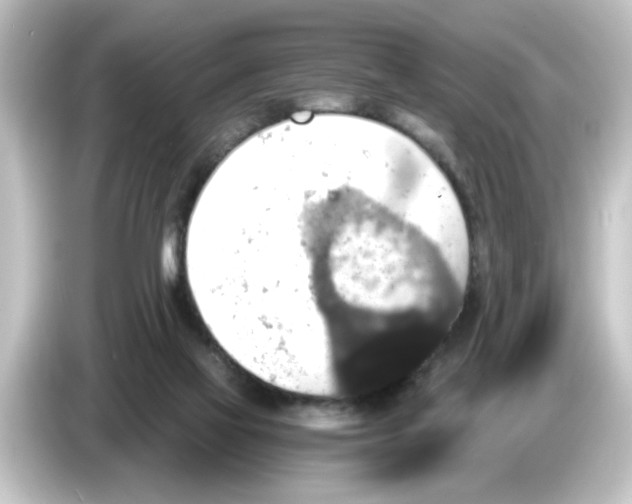 X0000084570069200703161730
