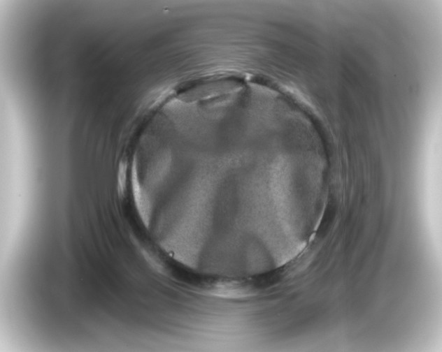 X0000084570070200703161730