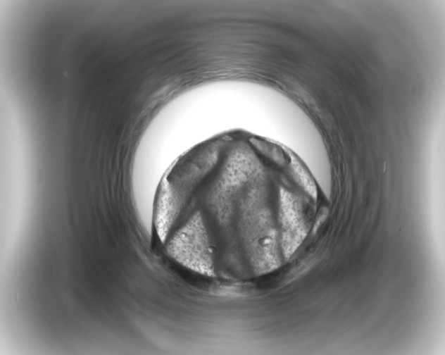 X0000084570072200703161730