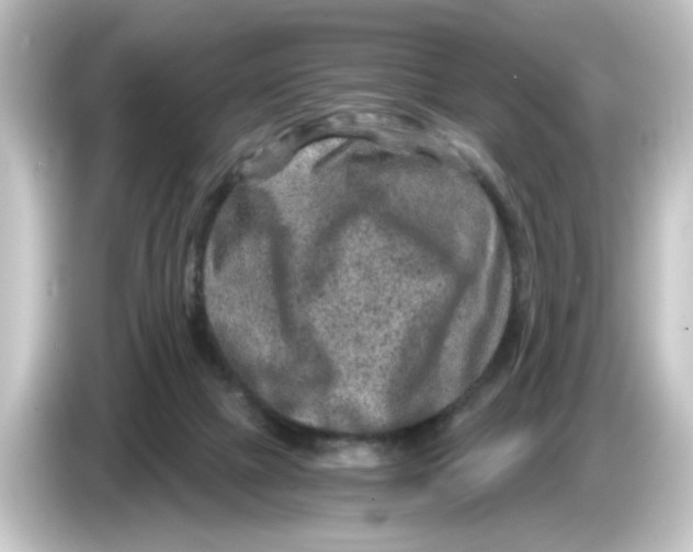 X0000084570073200703161730
