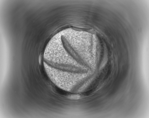 X0000084570075200703161730
