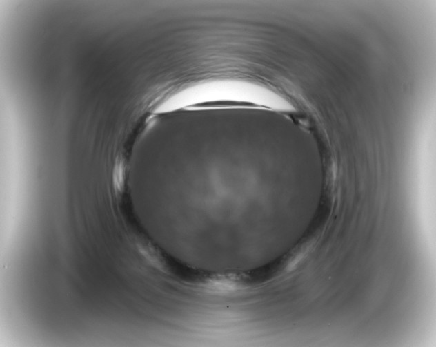 X0000084570076200703161730