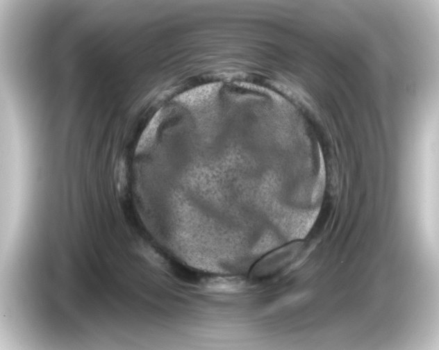 X0000084570077200703161730