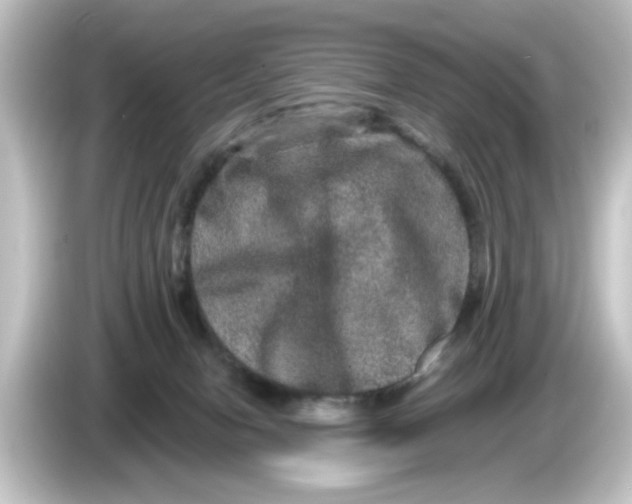 X0000084570078200703161730