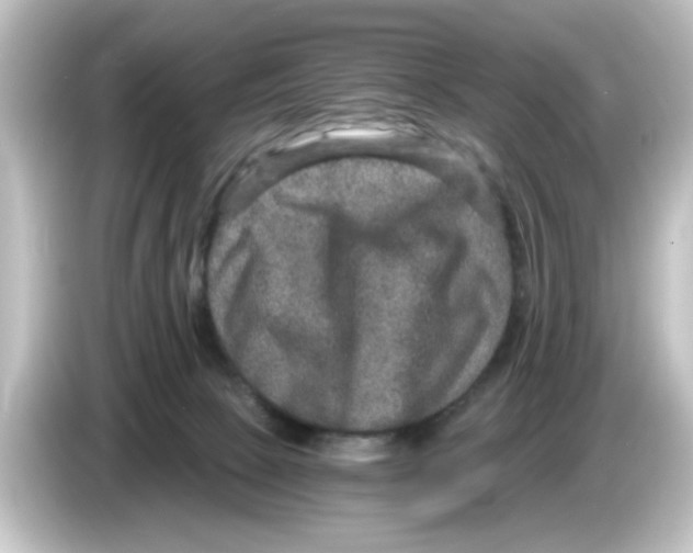 X0000084570081200703161730