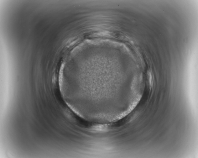 X0000084570084200703161730