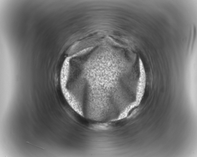 X0000084570086200703161730