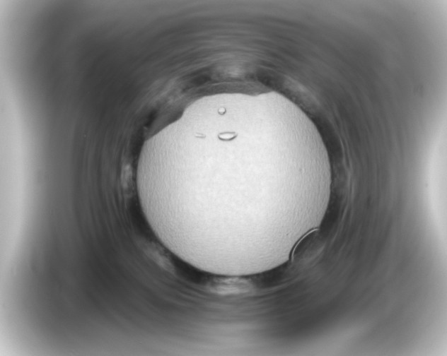 X0000084570087200703161730
