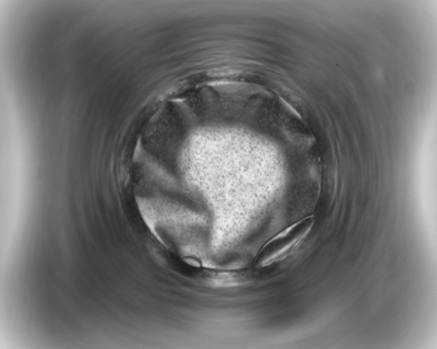 X0000084570091200703161730