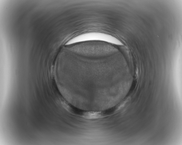 X0000084570093200703161730