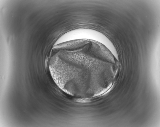X0000084570094200703161730