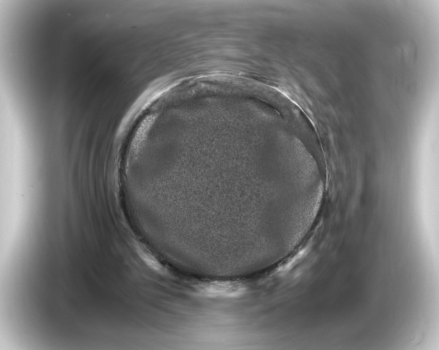 X0000084570101200703161730