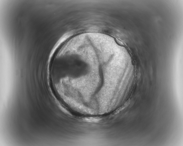 X0000084570102200703161730